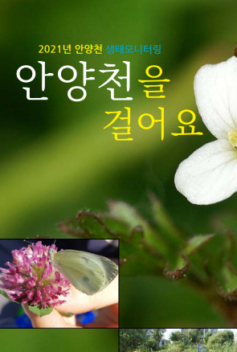 안양천 생태모니터링 보고서